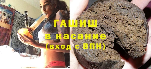 гидра Богородицк