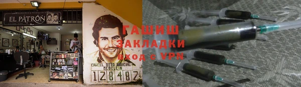гидра Богородицк