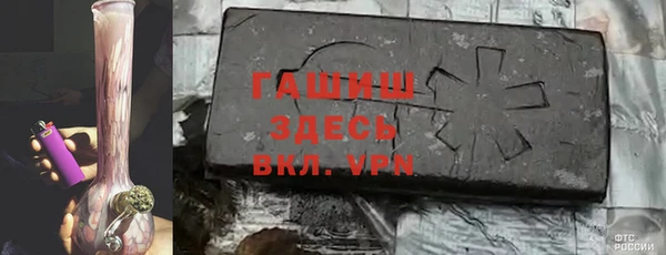 гидра Богородицк