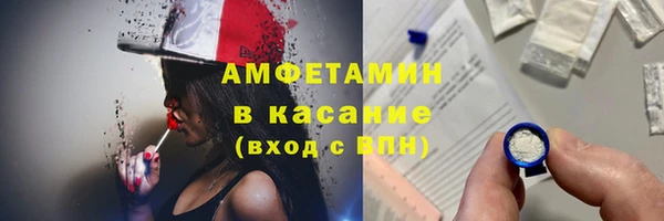 индика Беломорск