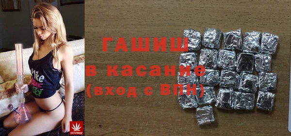 гидра Богородицк