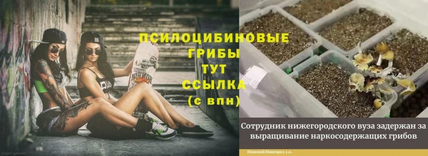 мдма Богородск