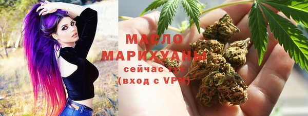 гидра Богородицк