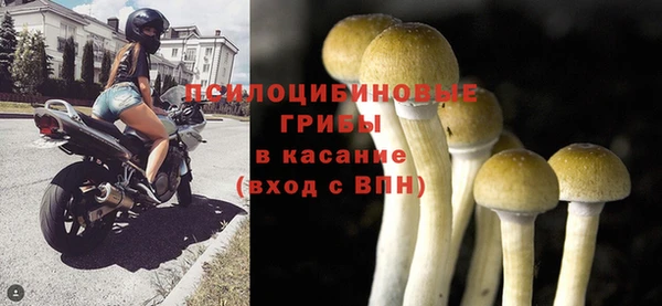гидра Богородицк