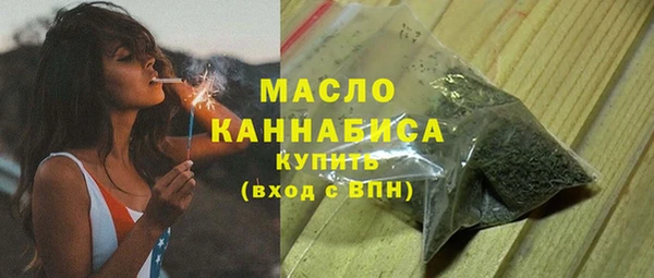 гидра Богородицк