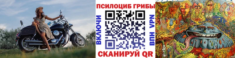 Псилоцибиновые грибы мицелий  Светлогорск 